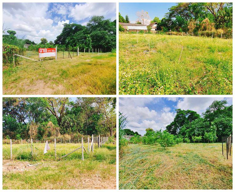 ขายที่ดินเปล่า ในตัวเมืองเชียงใหม่ สำหรับคนที่สนใจอยากปลูกบ้านในเมืองใกล้สถานที่