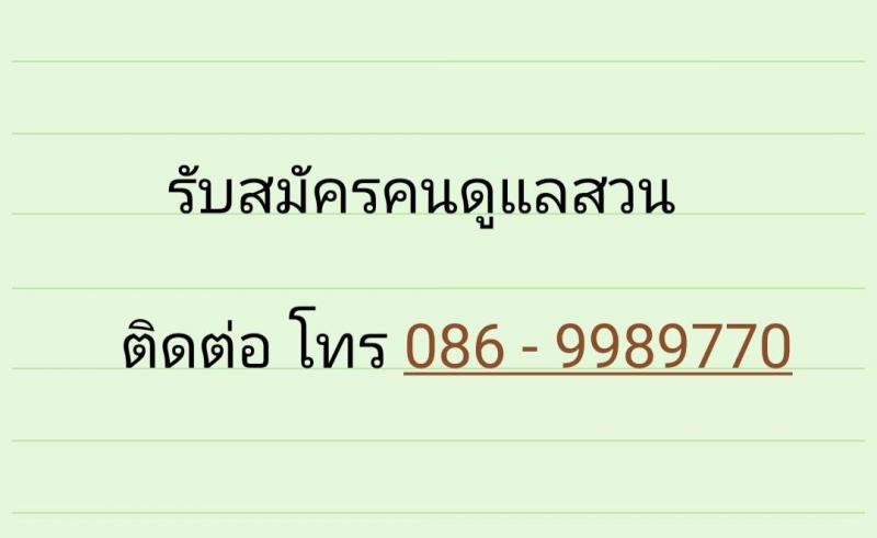 รับสมัครคนดูแลสวน