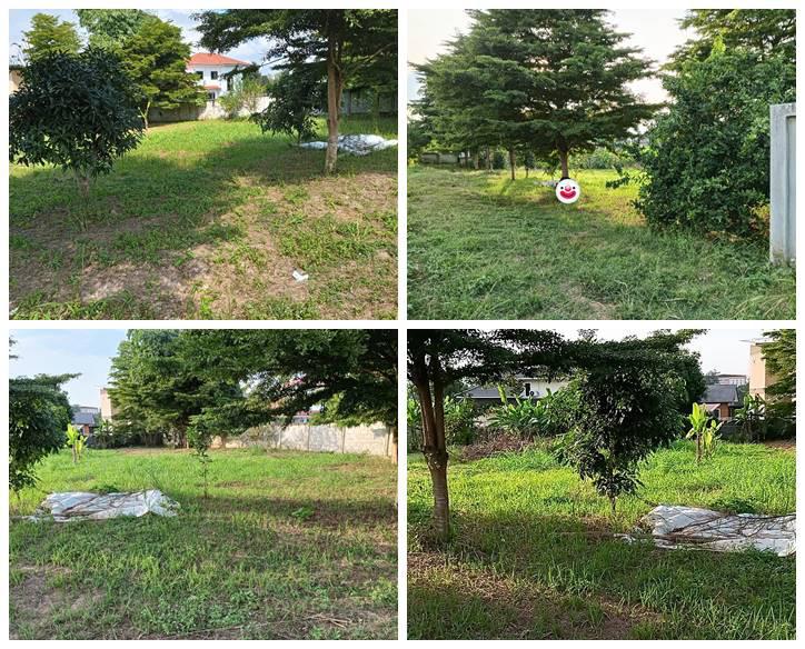 ขายที่ดิน อำเภอเมืองพะเยา 1 ไร่ โฉนด พร้อมโอน โทร 0817830178