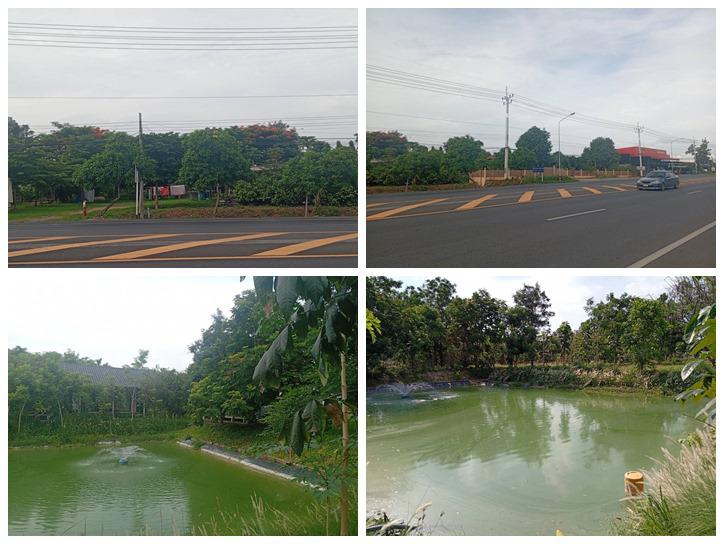 ขายด่วน! ที่ดินสวนเกษตรผสมผสานสไตล์รีสอร์ท อ.พัฒนานิคม จ.ลพบุรี พร้อมบ้าน