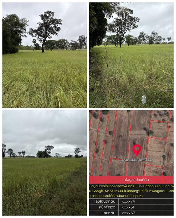 ด่วน ขายที่นา ราคาถูก อ.กันทรารมย์ จ.ศรีสะเกษ เนื้อที่ 12 ไร่ 2 งาน 62.6 ตร.ว.