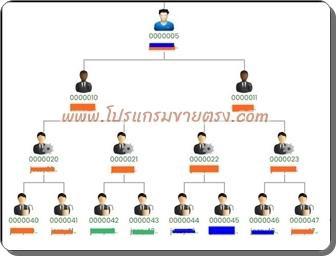 รับทำโปรแกรมขายตรง ทำโปรแกรมMLM ทุกแผนการจ่ายโบนัส เสร็จเร็วใน 7-14 วัน