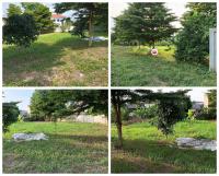 ขายที่ดิน อำเภอเมืองพะเยา 1 ไร่ โฉนด พร้อมโอน โทร 0817830178