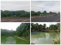 ขายด่วน! ที่ดินสวนเกษตรผสมผสานสไตล์รีสอร์ท อ.พัฒนานิคม จ.ลพบุรี พร้อมบ้าน