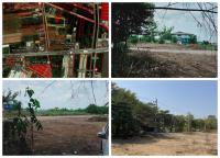 ขายที่ดินแปลงใหญ่ 16ไร่ 2งาน 77ตร.วา - ลาดหลุมแก้ว ปทุมธานี โทร 090-8982918