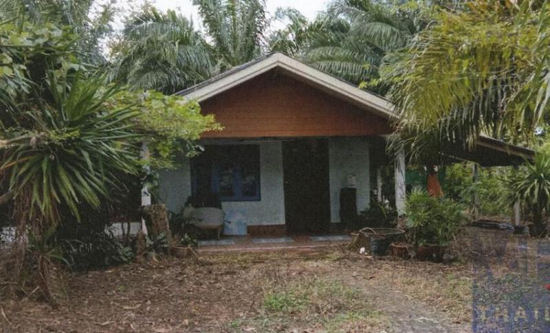 บ้านเดี่ยวหลุดจำนอง ธ.ธนาคารอาคารสงเคราะห์ ตรัง เมืองตรัง นาโต๊ะหมิง