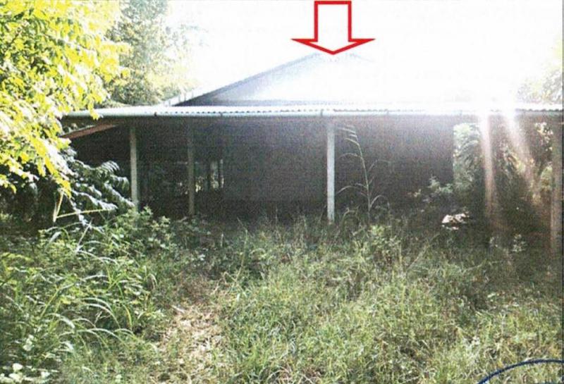 บ้านเดี่ยวหลุดจำนอง ธ.ธนาคารอาคารสงเคราะห์ เลย วังสะพุง หนองหญ้าปล้อง