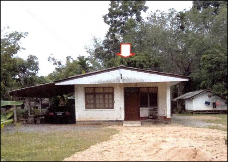 บ้านเดี่ยวหลุดจำนอง ธ.ธนาคารอาคารสงเคราะห์ พัทลุง เมืองพัทลุง นาโหนด