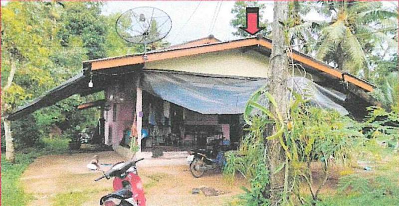 บ้านเดี่ยวหลุดจำนอง ธ.ธนาคารอาคารสงเคราะห์ ชุมพร เมืองชุมพร บางหมาก