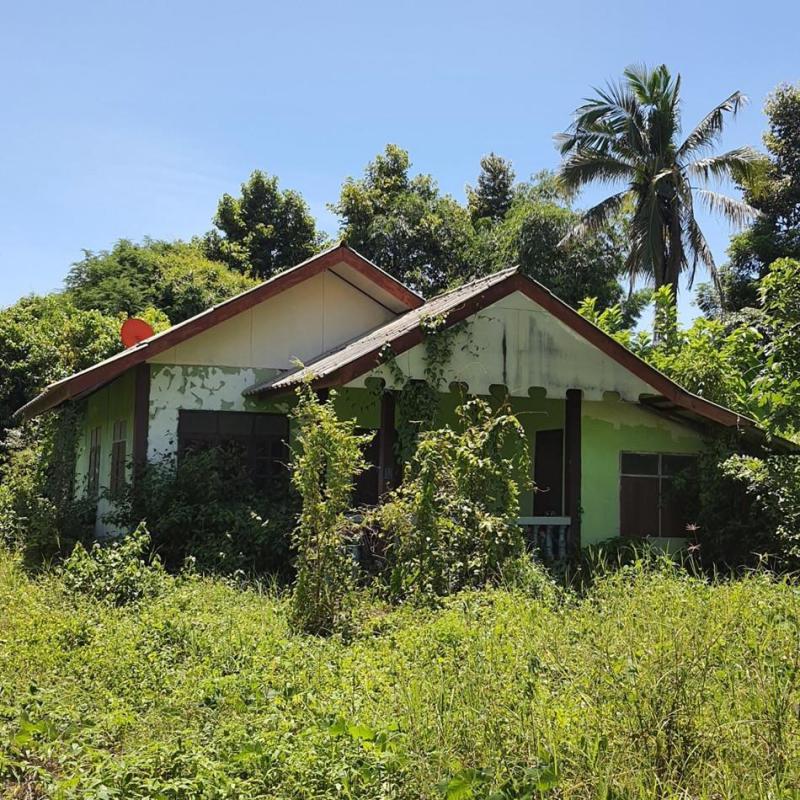 บ้านเดี่ยวหลุดจำนอง ธ.ธนาคารอาคารสงเคราะห์ พิษณุโลก บางระกำ วังอิทก