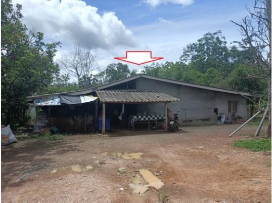 บ้านเดี่ยวหลุดจำนอง ธ.ธนาคารอาคารสงเคราะห์ ตรัง ย่านตาขาว ในควน