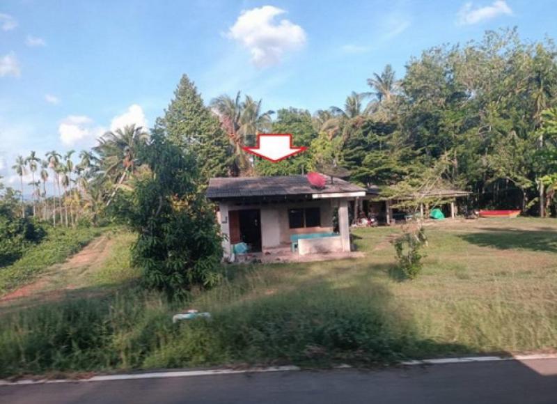 บ้านเดี่ยวหลุดจำนอง ธ.ธนาคารอาคารสงเคราะห์ ตรัง ย่านตาขาว ทุ่งกระบือ