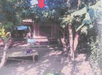 บ้านเดี่ยวหลุดจำนอง ธ.ธนาคารอาคารสงเคราะห์ ลำพูน แม่ทา ทาสบเส้า