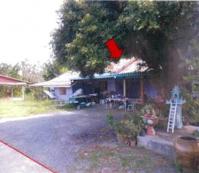 บ้านเดี่ยวหลุดจำนอง ธ.ธนาคารอาคารสงเคราะห์ ประจวบคีรีขันธ์ กุยบุรี กุยเหนือ