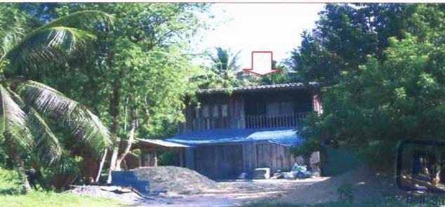 บ้านเดี่ยวหลุดจำนอง ธ.ธนาคารอาคารสงเคราะห์ ปัตตานี ทุ่งยางแดง ปากู