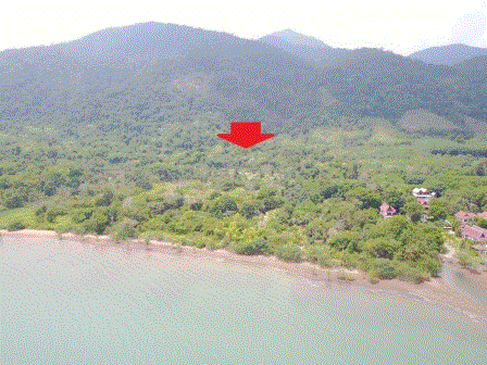 ที่ดินหลุดจำนอง ธ.ธนาคารกรุงเทพ ตราด เกาะช้าง เกาะช้าง