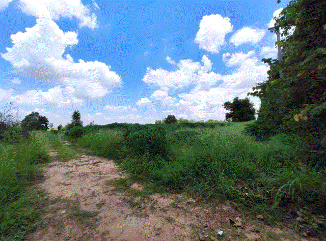 ที่ดินหลุดจำนอง ธ.ธนาคารกรุงเทพ   