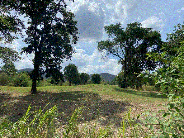 ที่ดินหลุดจำนอง ธ.ธนาคารกรุงเทพ นครราชสีมา ปากช่อง ปากช่อง