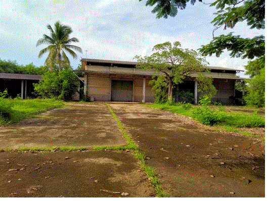 โกดังหลุดจำนอง ธ.ธนาคารกรุงเทพ อำนาจเจริญ เมืองอำนาจเจริญ บุ่ง