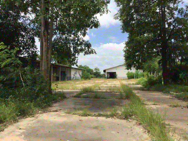 โกดังหลุดจำนอง ธ.ธนาคารกรุงเทพ อำนาจเจริญ เมืองอำนาจเจริญ บุ่ง