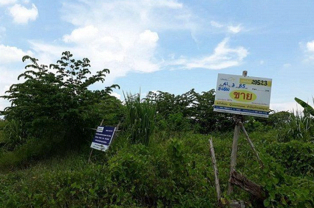 ที่ดินหลุดจำนอง ธ.ธนาคารกรุงเทพ เพชรบูรณ์ เมืองเพชรบูรณ์ บ้านโตก