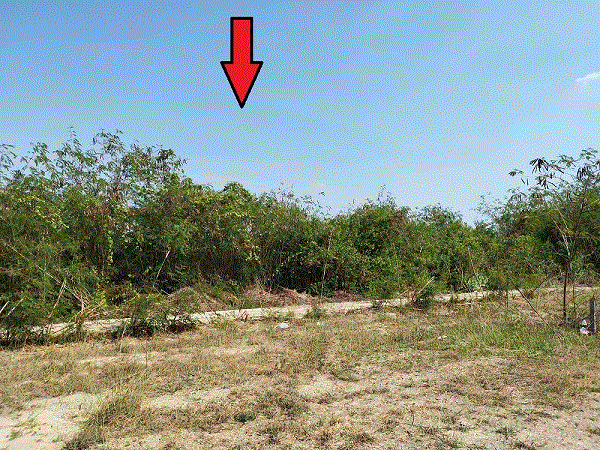 ที่ดินหลุดจำนอง ธ.ธนาคารกรุงเทพ สมุทรสงคราม อัมพวา ปลายโพงพาง