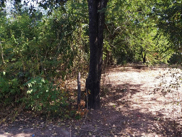 ที่ดินหลุดจำนอง ธ.ธนาคารกรุงเทพ ขอนแก่น ชุมแพ โนนสะอาด