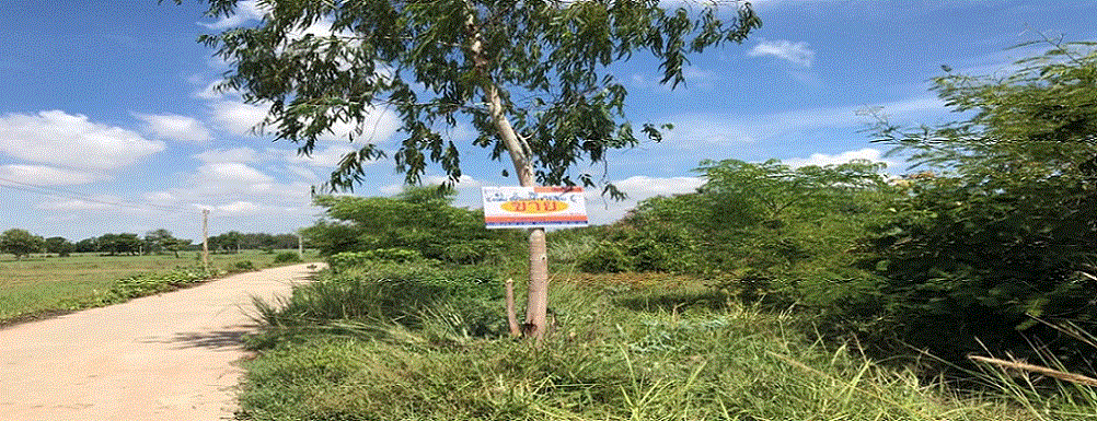 ที่ดินหลุดจำนอง ธ.ธนาคารกรุงเทพ   