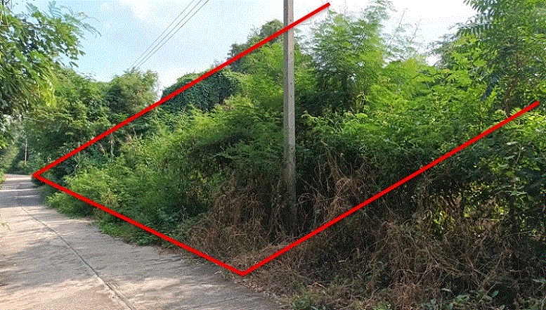 ที่ดินหลุดจำนอง ธ.ธนาคารกรุงเทพ   