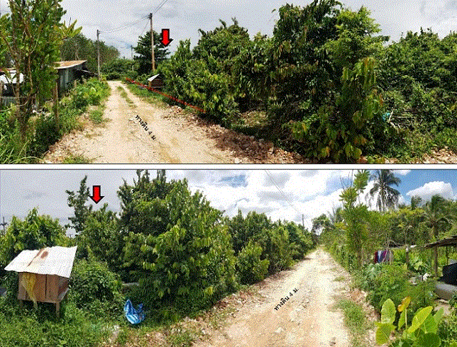 ที่ดินหลุดจำนอง ธ.ธนาคารกรุงเทพ   