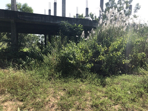 อพาร์ทเม้นท์/หอพักหลุดจำนอง ธ.ธนาคารกรุงเทพ   