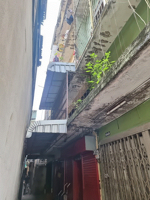 อาคารพาณิชย์หลุดจำนอง ธ.ธนาคารกรุงเทพ   