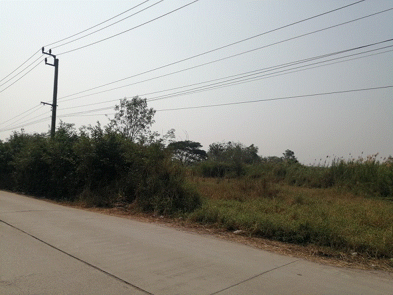 ที่ดินหลุดจำนอง ธ.ธนาคารกรุงเทพ กรุงเทพมหานคร หนองจอก ลำต้อยติ่ง