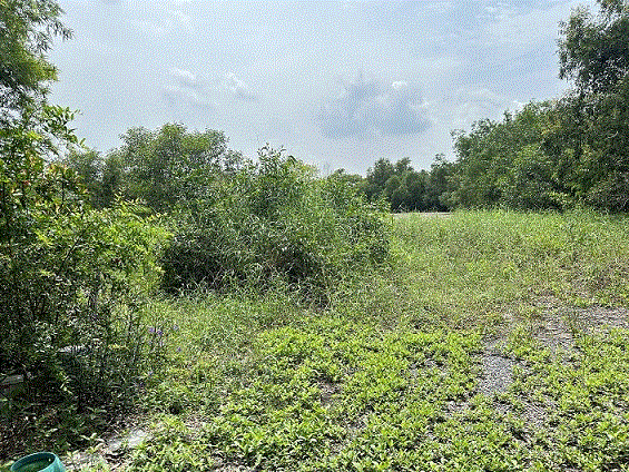 ที่ดินหลุดจำนอง ธ.ธนาคารกรุงเทพ ปทุมธานี คลองหลวง คลองหนึ่ง