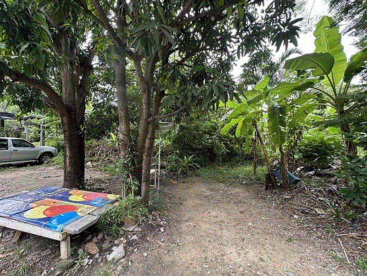 ที่ดินหลุดจำนอง ธ.ธนาคารกรุงเทพ   