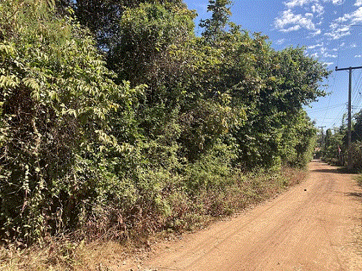 ที่ดินหลุดจำนอง ธ.ธนาคารกรุงเทพ   