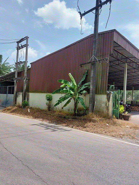 โกดังหลุดจำนอง ธ.ธนาคารกรุงเทพ ระนอง กะเปอร์ บางหิน