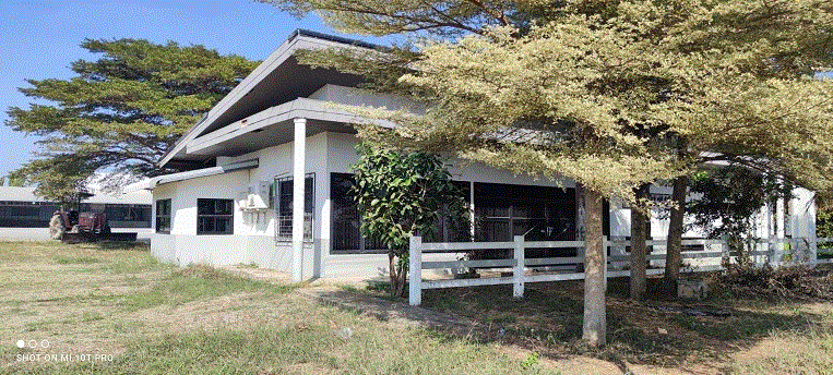 โกดังหลุดจำนอง ธ.ธนาคารกรุงเทพ อุตรดิตถ์ พิชัย คอรุม