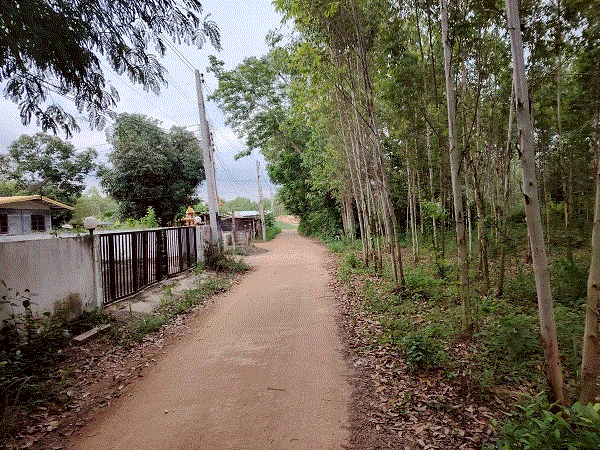 บ้านหลุดจำนอง ธ.ธนาคารกรุงเทพ   