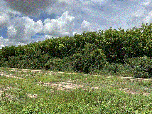 ที่ดินหลุดจำนอง ธ.ธนาคารกรุงเทพ ฉะเชิงเทรา พนมสารคาม เกาะขนุน